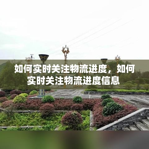 如何实时关注物流进度，如何实时关注物流进度信息 