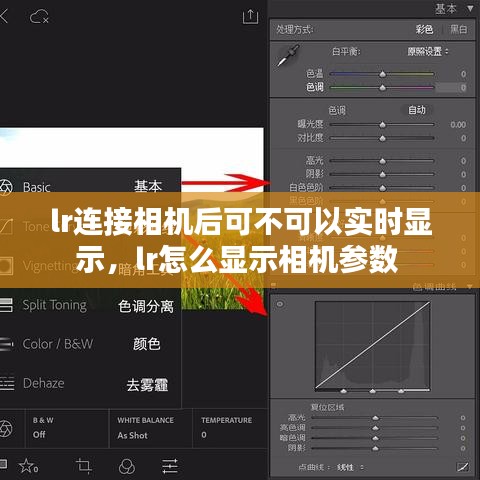 lr连接相机后可不可以实时显示，lr怎么显示相机参数 