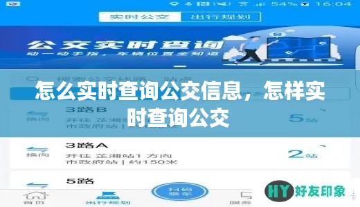 怎么实时查询公交信息，怎样实时查询公交 