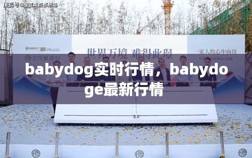 babydog实时行情，babydoge最新行情 