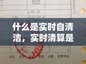 什么是实时自清洁，实时清算是什么意思 