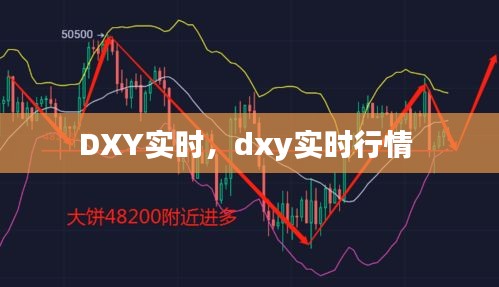 DXY实时，dxy实时行情 