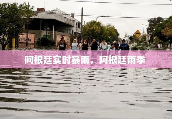 阿根廷实时暴雨，阿根廷雨季 