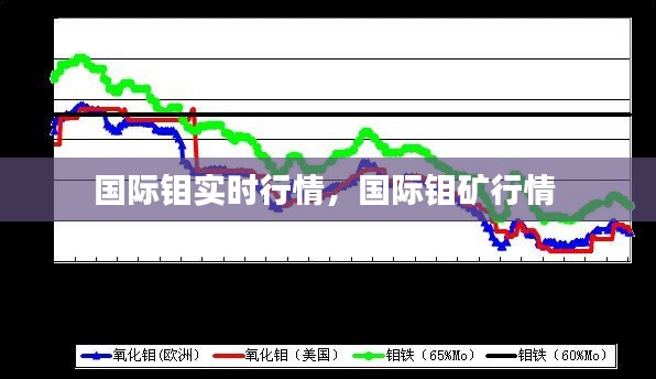 国际钼实时行情，国际钼矿行情 