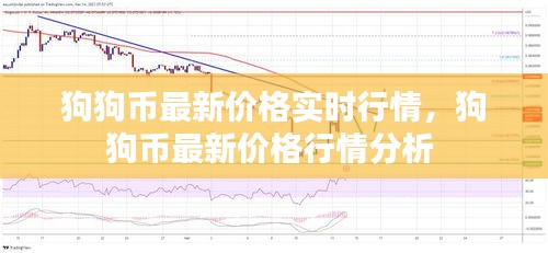 2024年12月19日 第10页