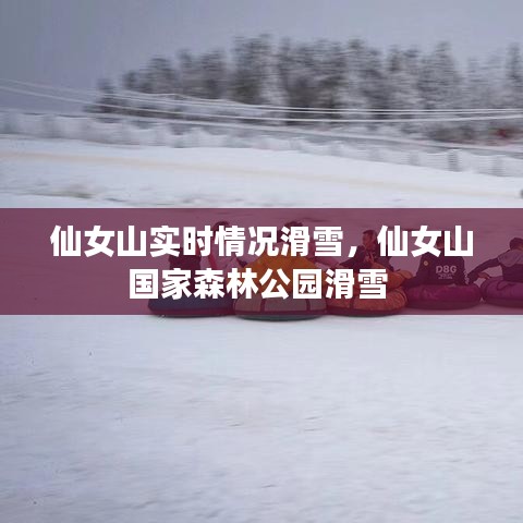 仙女山实时情况滑雪，仙女山国家森林公园滑雪 