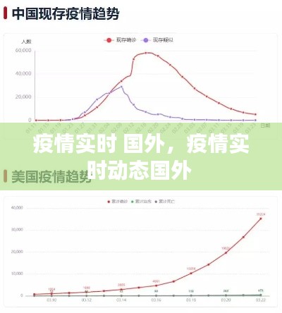 2024年12月19日 第8页