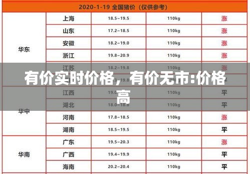 2024年12月19日 第7页