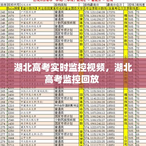 湖北高考实时监控视频，湖北高考监控回放 