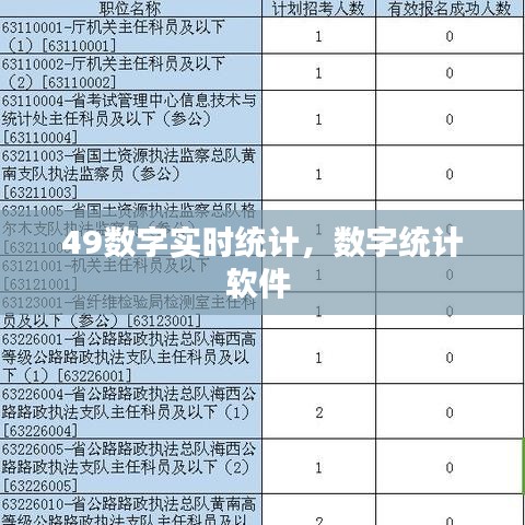 49数字实时统计，数字统计软件 