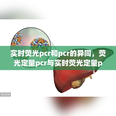 实时荧光pcr和pcr的异同，荧光定量pcr与实时荧光定量pcr有啥区别 