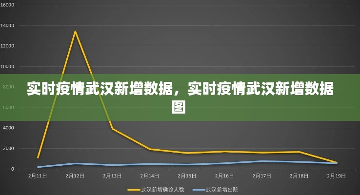 实时疫情武汉新增数据，实时疫情武汉新增数据图 