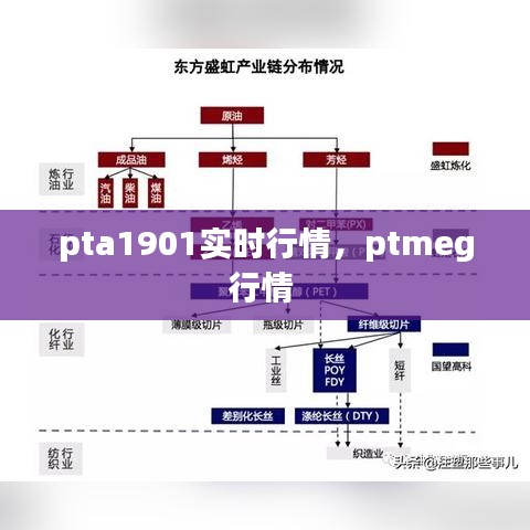 pta1901实时行情，ptmeg行情 