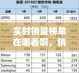 2024年12月20日 第7页