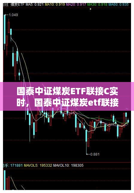 国泰中证煤炭ETF联接C实时，国泰中证煤炭etf联接c基金 