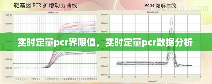 实时定量pcr界限值，实时定量pcr数据分析 