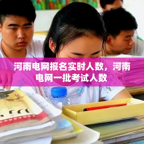 河南电网报名实时人数，河南电网一批考试人数 