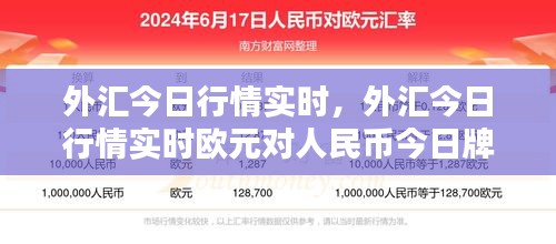 外汇今日行情实时，外汇今日行情实时欧元对人民币今日牌价 