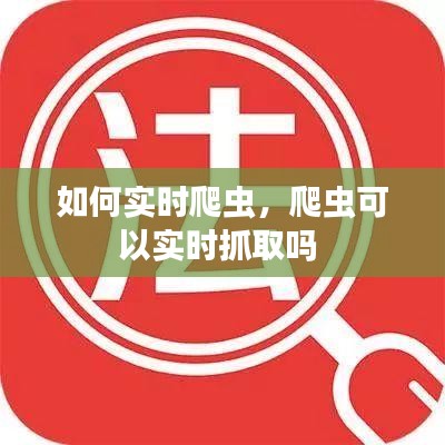 如何实时爬虫，爬虫可以实时抓取吗 