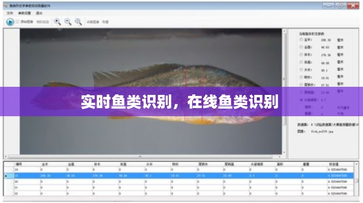 实时鱼类识别，在线鱼类识别 