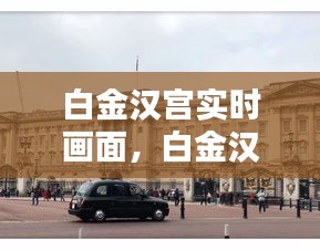 白金汉宫实时画面，白金汉宫视频中文介绍 