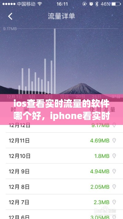 ios查看实时流量的软件哪个好，iphone看实时流量 