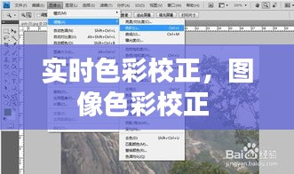 实时色彩校正，图像色彩校正 