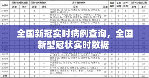 全国新冠实时病例查询，全国新型冠状实时数据 