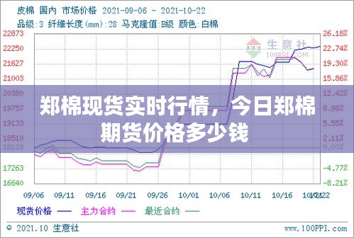 郑棉现货实时行情，今日郑棉期货价格多少钱 