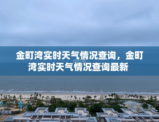 金町湾实时天气情况查询，金町湾实时天气情况查询最新 