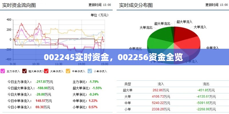 002245实时资金，002256资金全览 