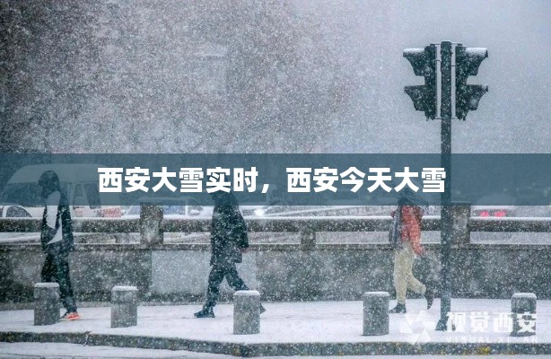 西安大雪实时，西安今天大雪 