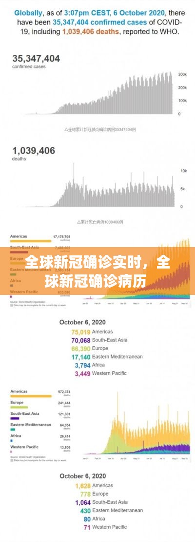 全球新冠确诊实时，全球新冠确诊病历 