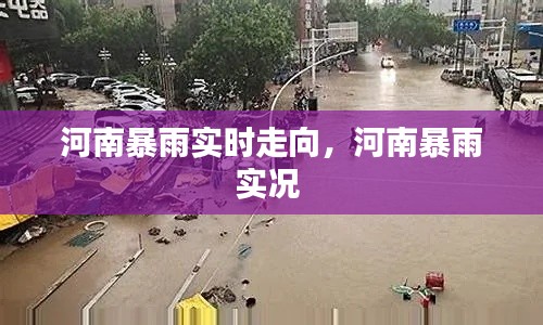 河南暴雨实时走向，河南暴雨实况 