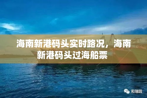 海南新港码头实时路况，海南新港码头过海船票 