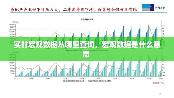 实时宏观数据从哪里查询，宏观数据是什么意思 