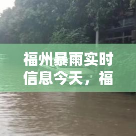 福州暴雨实时信息今天，福州暴雨实时信息今天查询 