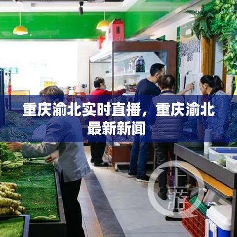 重庆渝北实时直播，重庆渝北最新新闻 