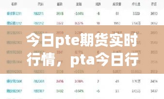 今日pte期货实时行情，pta今日行情 