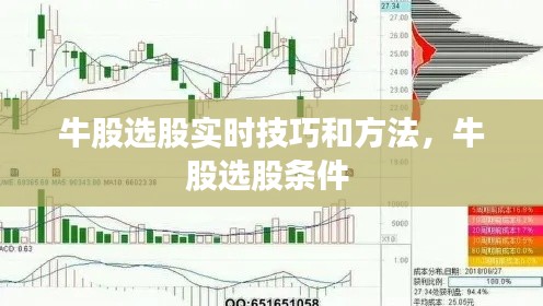 牛股选股实时技巧和方法，牛股选股条件 