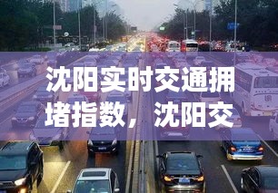 沈阳实时交通拥堵指数，沈阳交通状况 