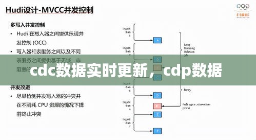 cdc数据实时更新，cdp数据 