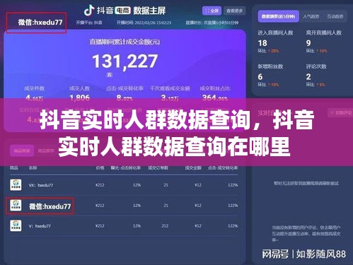 抖音实时人群数据查询，抖音实时人群数据查询在哪里 