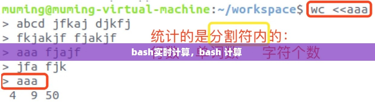 bash实时计算，bash 计算 