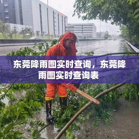 东莞降雨图实时查询，东莞降雨图实时查询表 