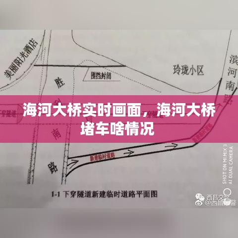 海河大桥实时画面，海河大桥堵车啥情况 