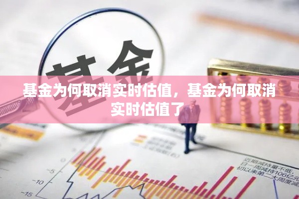 基金为何取消实时估值，基金为何取消实时估值了 