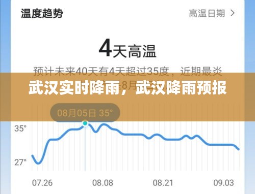 武汉实时降雨，武汉降雨预报 