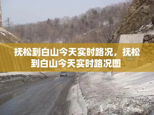 抚松到白山今天实时路况，抚松到白山今天实时路况图 