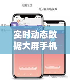 实时动态数据大屏手机版，实时动态意思 